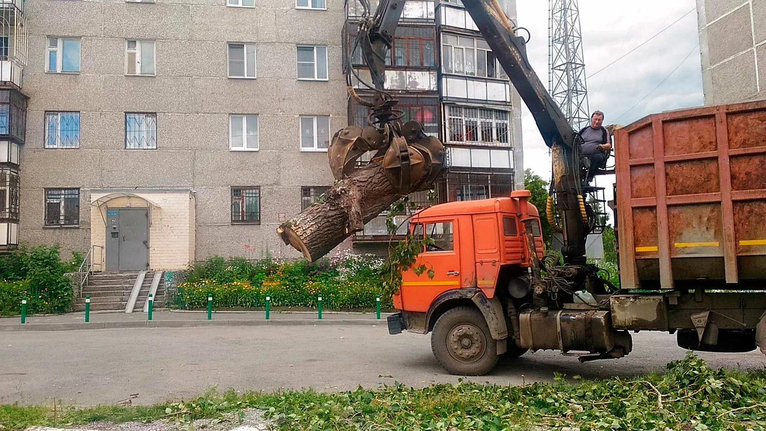 Вывоз спиленных веток и деревьев в Тюмени от ПроМусор: порубочные остатки, утилизация, цена от 2960 руб