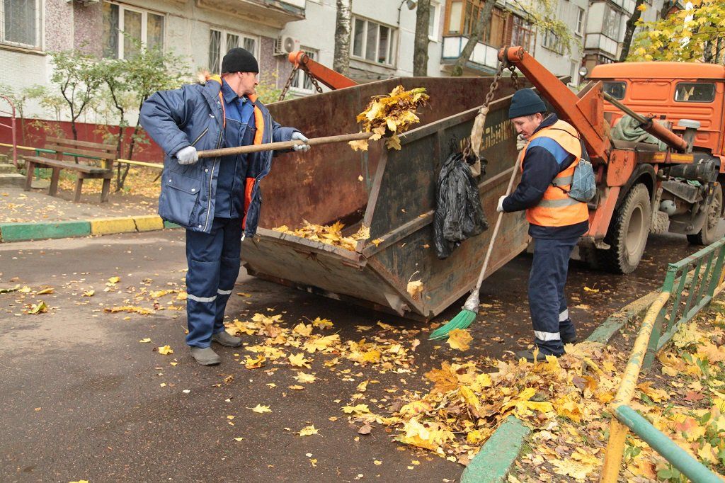 Вывоз опавшей листвы и растительного мусора в Тюмени от ПроМусор – цена от 4593 руб., быстрая уборка и утилизация